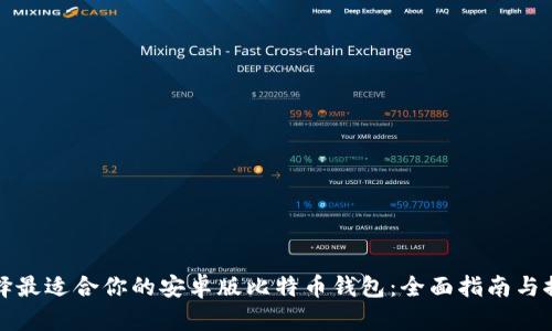 选择最适合你的安卓版比特币钱包：全面指南与推荐