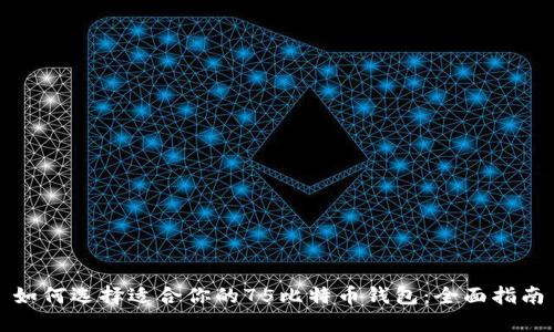 如何选择适合你的75比特币钱包：全面指南