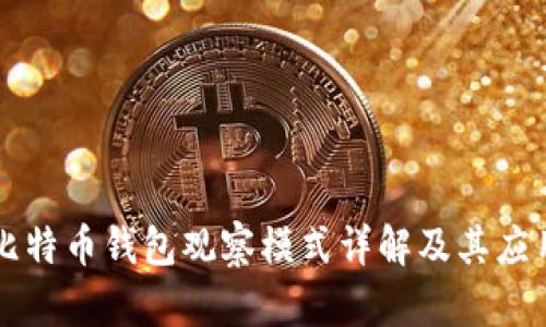 比特币钱包观察模式详解及其应用