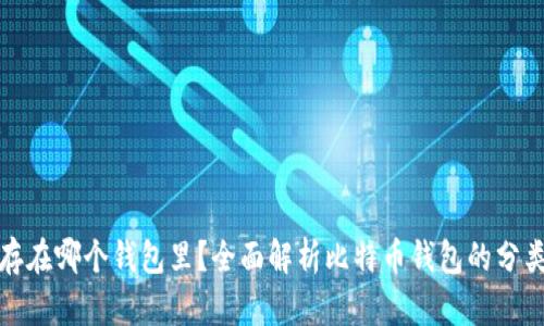 比特币存在哪个钱包里？全面解析比特币钱包的分类与选择