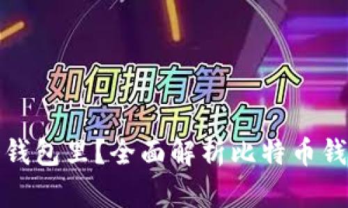 比特币存在哪个钱包里？全面解析比特币钱包的分类与选择