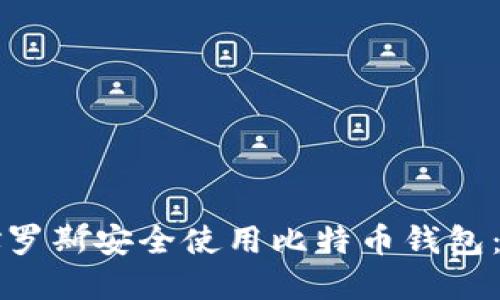 如何在俄罗斯安全使用比特币钱包：全面指南