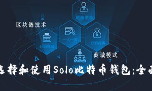 如何选择和使用Solo比特币钱包：全面指南
