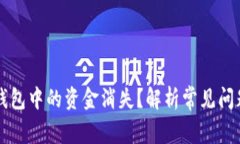 为何我的TP钱包中的资金消失？解析常见问题和解
