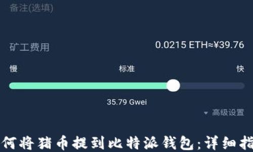 
如何将猪币提到比特派钱包：详细指南