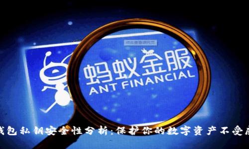 TP钱包私钥安全性分析：保护你的数字资产不受威胁