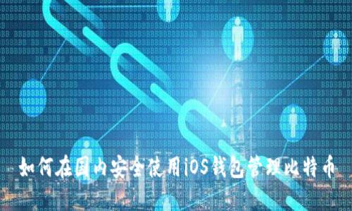 如何在国内安全使用iOS钱包管理比特币