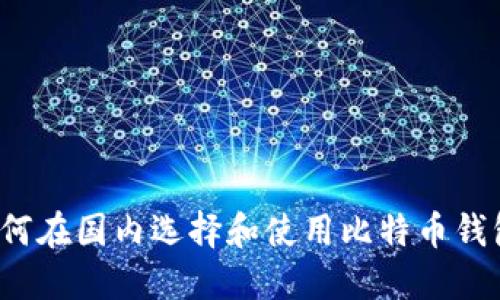 如何在国内选择和使用比特币钱包？