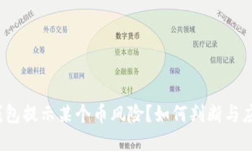 TP钱包提示某个币风险？如何判断与应对？