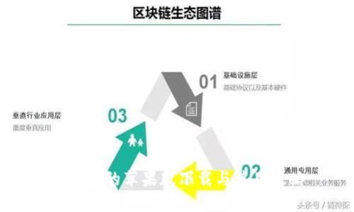 TP钱包的苹果版下载与使用攻略