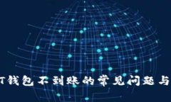 解决USDT钱包不到账的常见问题与应对策略