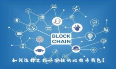 如何选择支持币安链的比特币钱包？