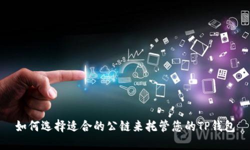 如何选择适合的公链来托管您的TP钱包
