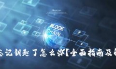 TP钱包忘记钥匙了怎么办？全面指南及解决方案