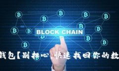 丢失TP钱包？别担心，快速