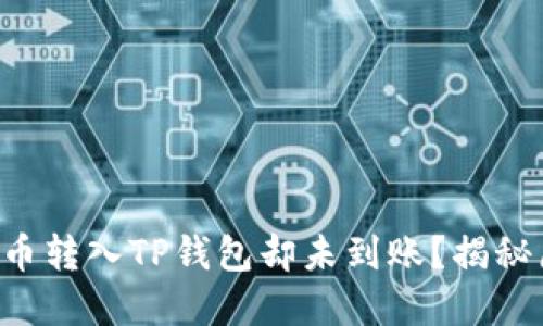 为何你的交易所币转入TP钱包却未到账？揭秘原因和解决方案！